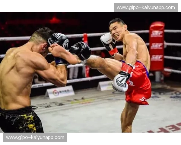 绝地反击还是王者加冕?徐吉福vs哈亚:搏击史上的“冰与火之歌” 绝地反击还是王者加冕?徐吉福vs哈亚:搏击史上的“冰与火之歌”